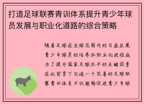 打造足球联赛青训体系提升青少年球员发展与职业化道路的综合策略