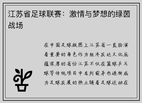 江苏省足球联赛：激情与梦想的绿茵战场