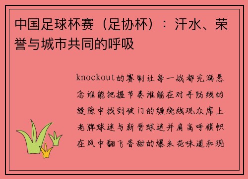 中国足球杯赛（足协杯）：汗水、荣誉与城市共同的呼吸